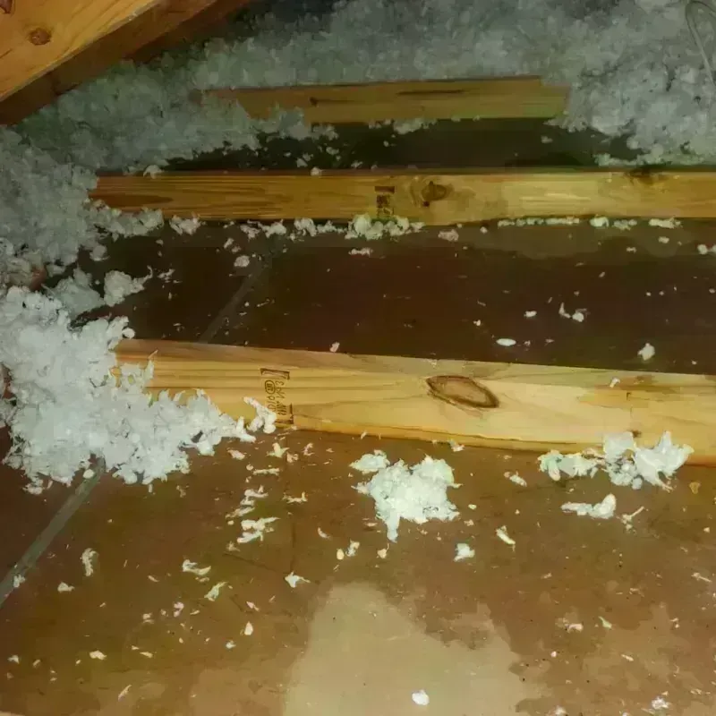 Attic Water Damage in Fulton, TX