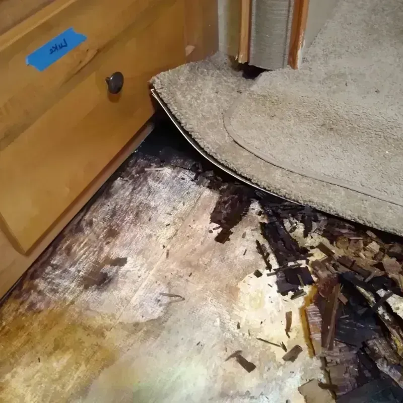 Wood Floor Water Damage in Fulton, TX